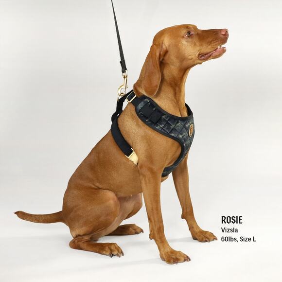 SNOOP DOGGIE DOGGS DELUXE BLACK QUILTED PET HARNESS NWT SIZE MEDIUM - Picture 3 of 8